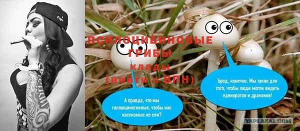 spice Богородицк